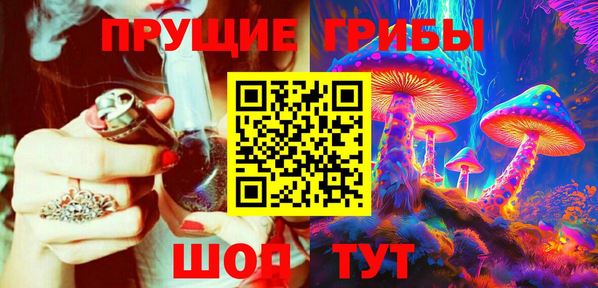 Лесной  Псилоцибиновые грибы прущие грибы  Вход с VPN 